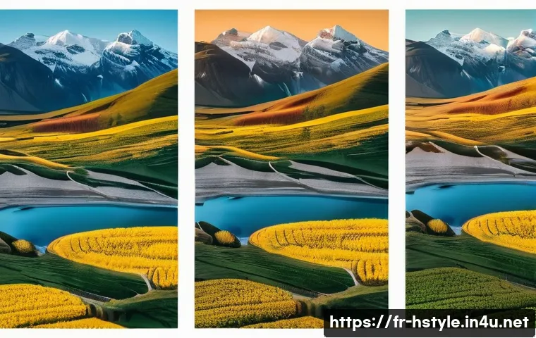 홈스타일리스트 자격증 취득 방법 - Here are three image generation prompts in English, inspired by the provided text: